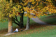 university of waikato - reading under tree